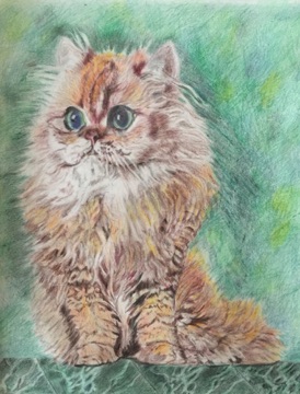 Persian -in- colored- pencil